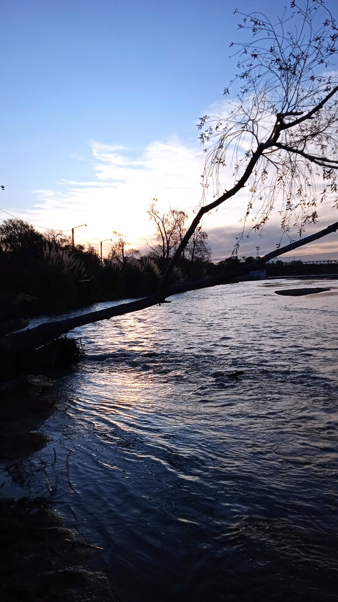 MarcelaBocco's tweet photo. No hay mayor calma que la engendrada por la razón. Séneca.
Atardecer de un día de mayo en el río. https://t.co/3leXHlRCeX