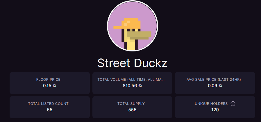 street duckz tweet media