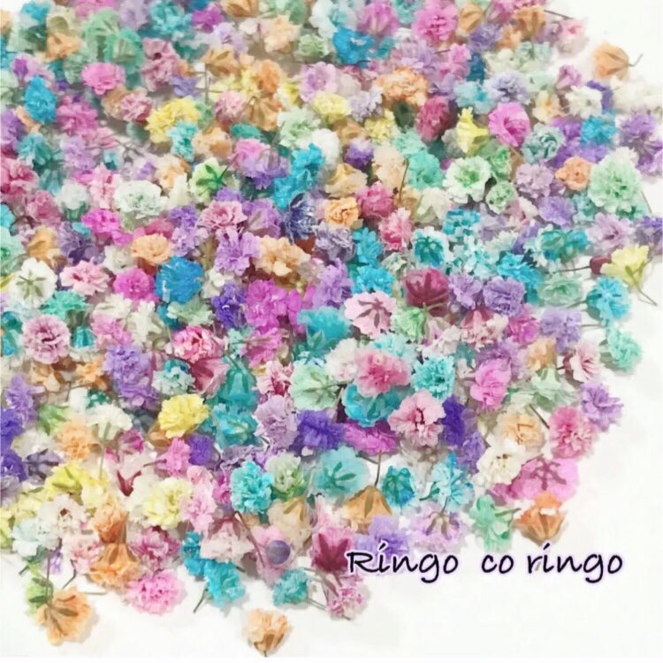 ringocoringo2's tweet photo. かすみ草のドライフラワーをフリマアプリで出品しています。
よろしくお願いします。
 #かすみ草   #ドライフラワー   #かすみ草ドライフラワー   #ハンドメイド  #花材 https://t.co/xecpZqqJSQ
