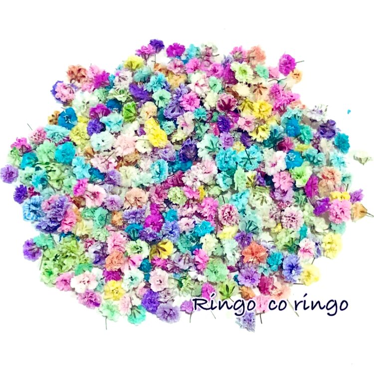 ringocoringo2's tweet photo. かすみ草のドライフラワーをフリマアプリで出品しています。
よろしくお願いします。
 #かすみ草   #ドライフラワー   #かすみ草ドライフラワー   #ハンドメイド  #花材 https://t.co/xecpZqqJSQ