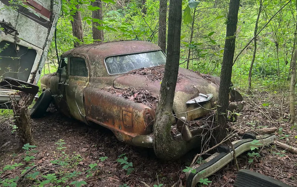 ThePapaCars's tweet photo. Massive Junkyard Hidden in the woods is home to 4,000 Classic Cars! 😮😪
https://t.co/BV8gt0AzxQ
#classiccars #vintagecars #barnfind #barnfinder #classiccar #vintagecar #junkyard #scrapyard #abandonedplaces https://t.co/gXyERW7JAF