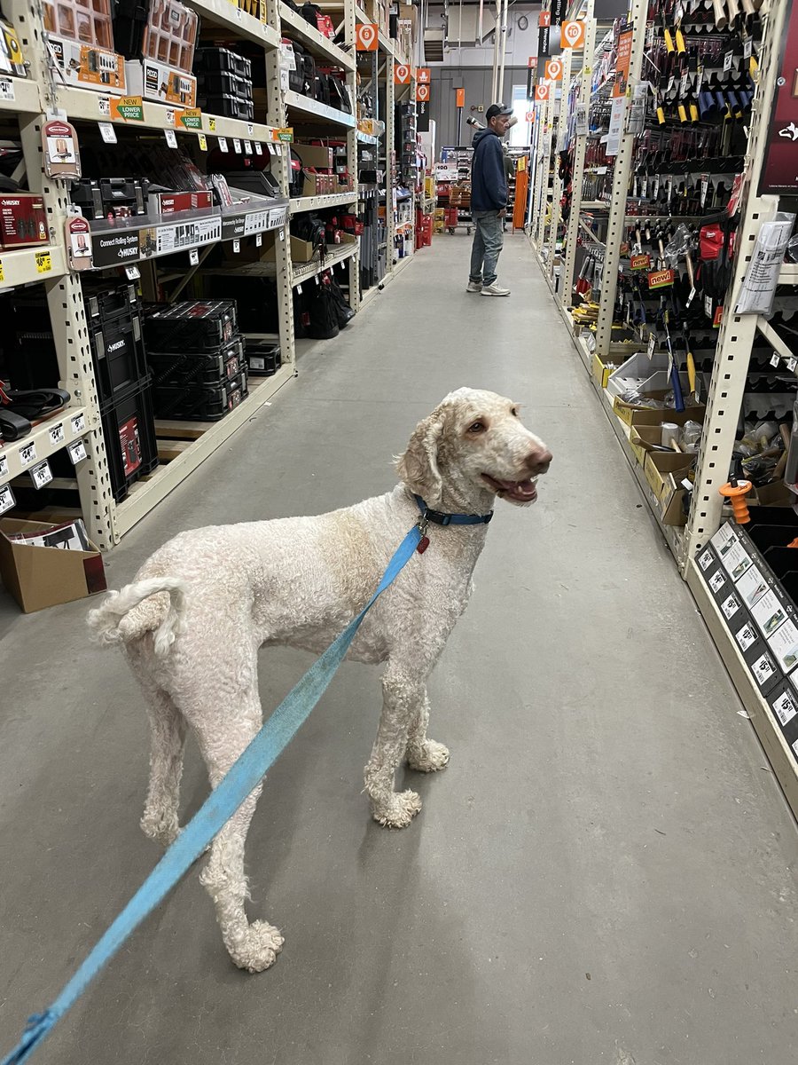 RoenickDoodle's tweet photo. Dad and I at the @HomeDepot https://t.co/eVFzABbDdS