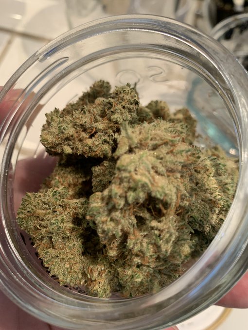 All that glitters is not gold, but it&rsquo;s often good! https://t.co/ru86f2l56b<a href="/tag/xhamster"class="tags"><span>#xhamster</span></a>