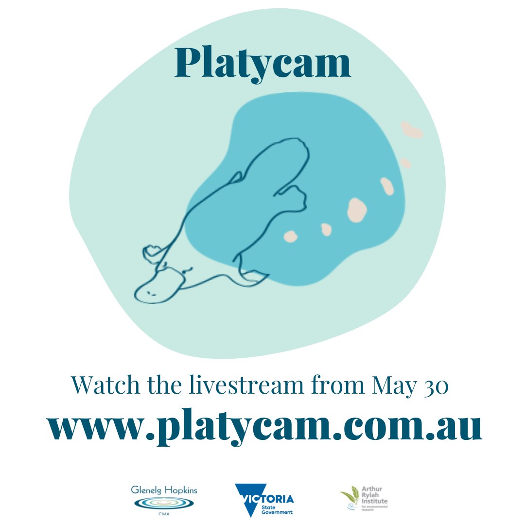 Today's the day! The world's first 24hr Platypus Livestream kicks off at 1pm! Watch the #Platycam launch at fb.me/e/1yWvDaD4g. Congrats to <a href="/GHCMA/">Glenelg Hopkins CMA</a> &amp; @DELWP_Vic