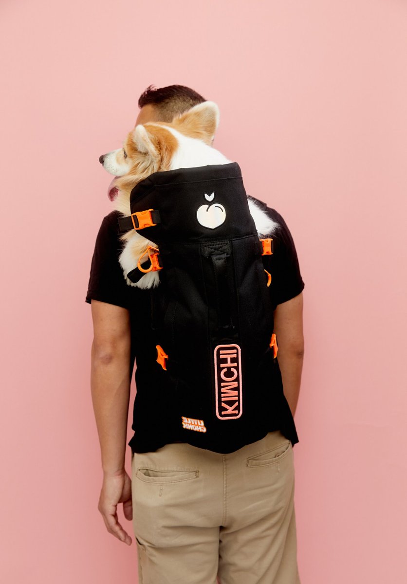 kimchithecorgi's tweet photo. What a jam packed weekend - we started off @MONOGRAPHY_TO
Make Memories, Make Portraits. Monography
#monography #monographyto #toronto #torontolife #narcitytoronto #torontophotography #torontophotographer #torontophotostudio #corgi #photoshoot #fluffycorgi #Kimchithecorgi https://t.co/KNYc0AWJdy