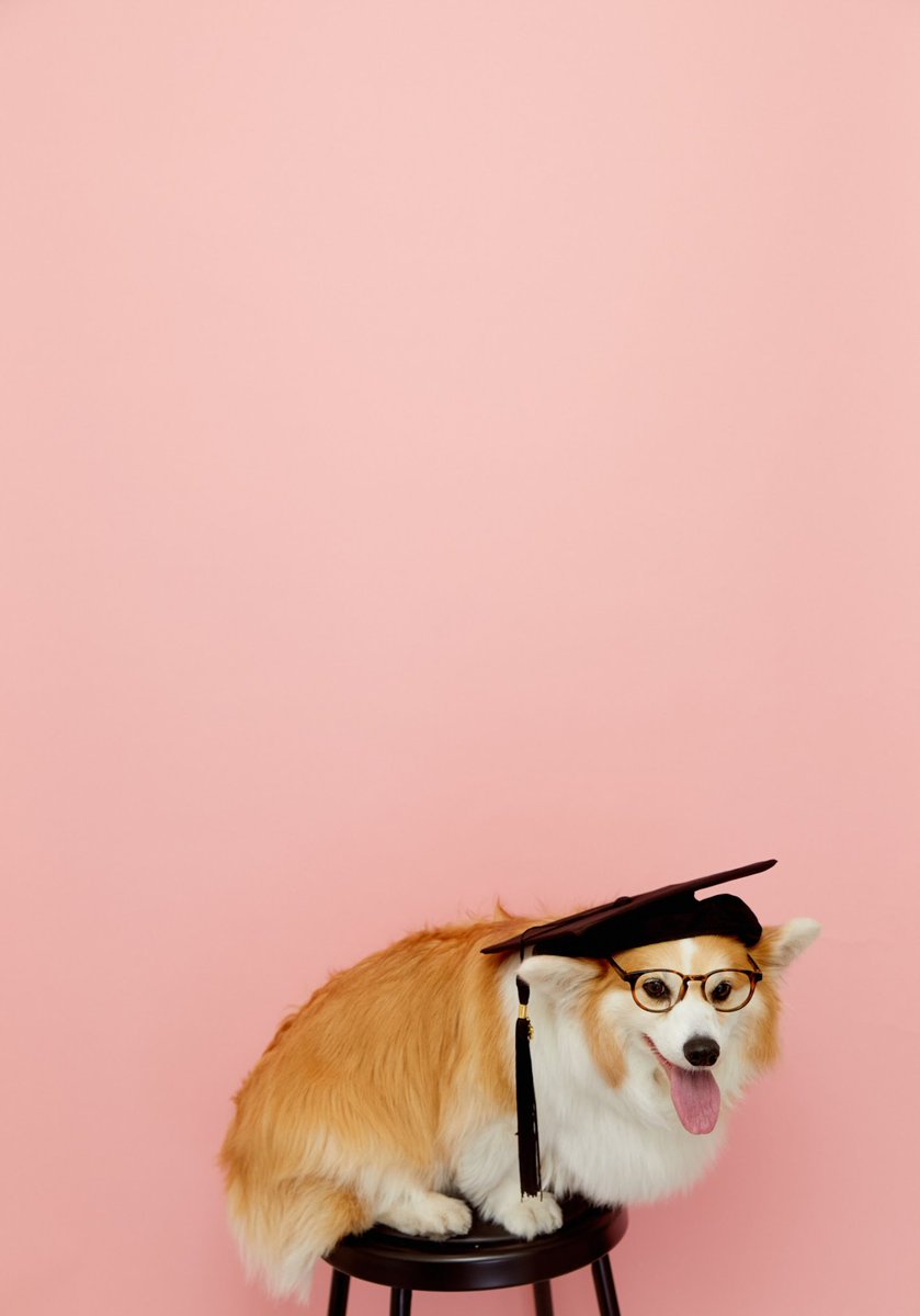 kimchithecorgi's tweet photo. What a jam packed weekend - we started off @MONOGRAPHY_TO
Make Memories, Make Portraits. Monography
#monography #monographyto #toronto #torontolife #narcitytoronto #torontophotography #torontophotographer #torontophotostudio #corgi #photoshoot #fluffycorgi #Kimchithecorgi https://t.co/KNYc0AWJdy