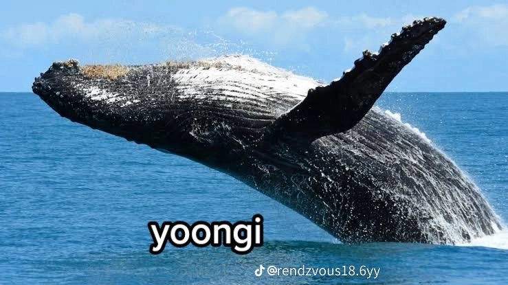 karinadotxt's tweet photo. As coisa que eu acho no tik Tok KKKKKKKKKKK #smtyoongi #smtbts #btsflop #smtnamjoon https://t.co/FAQLESL24p