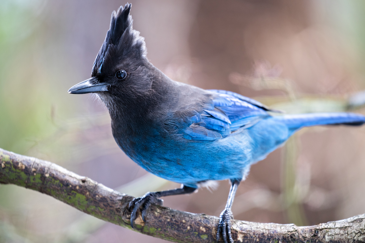 FinnExplores tweet media