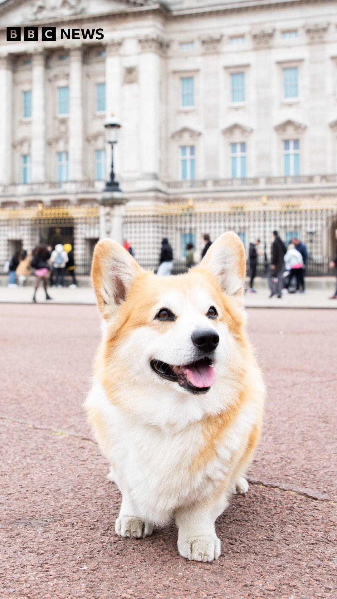 BBC/BBC News / Twitter