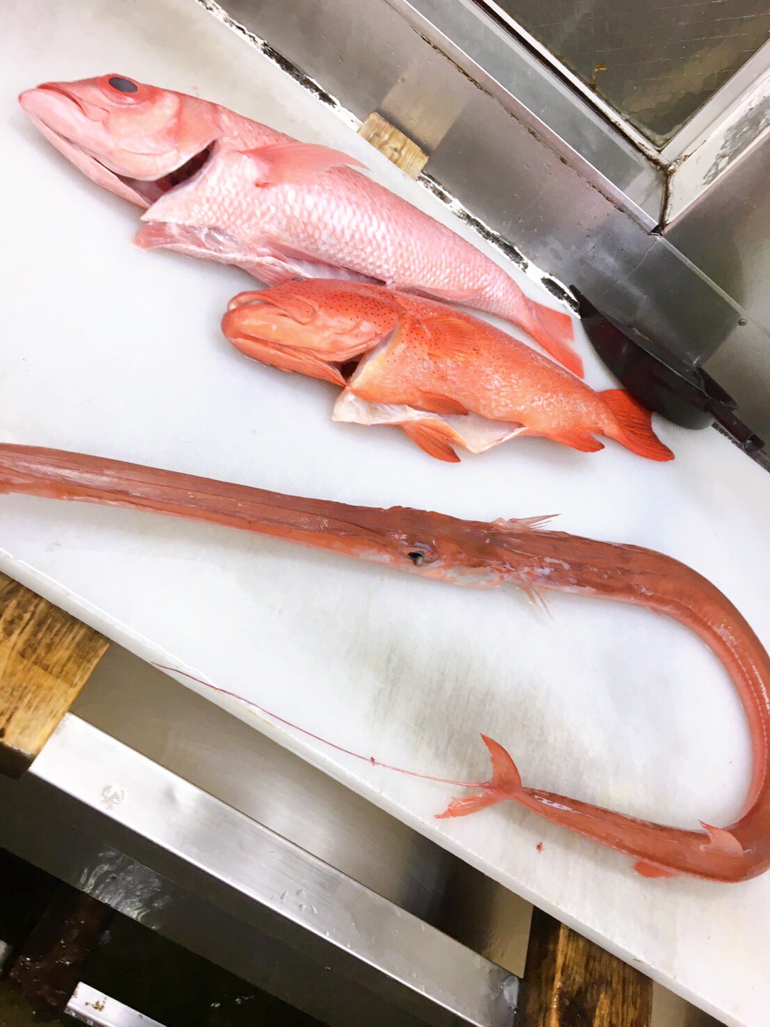 تويتر 沖新水産 على تويتر おはようございます 今週もよろしくお願いします 今日はちょっと珍しい ヤガラのお 刺身あります この口で一体何を食べてるのか 摩訶不思議な構造ですね ほか 焼き用でカレイもあります 10時よりopenです ご来店