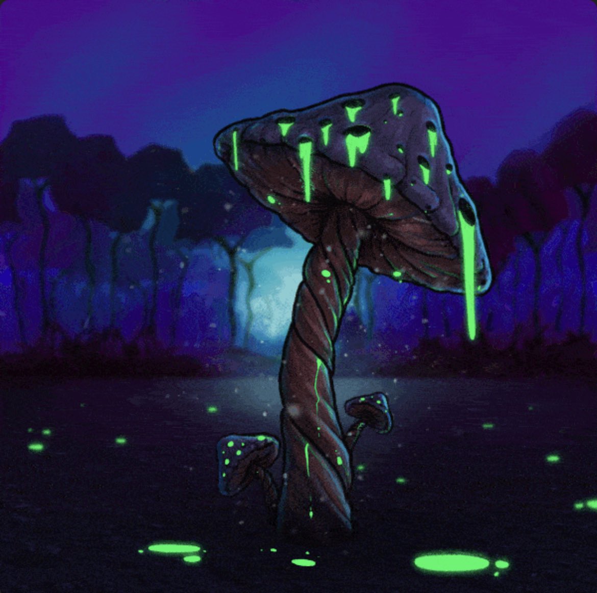 Slimmbuckz tweet media