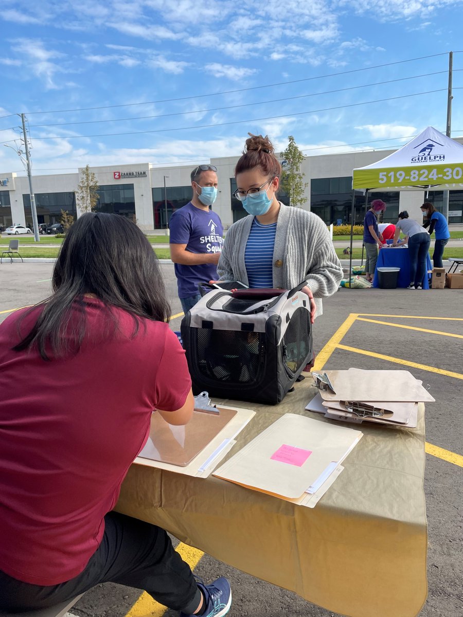 GuelphHumane's tweet photo. Our Return to Owner Rate for dogs was 88% in 2021. For cats it was 25%, meaning 75% of stray cats are never reunited with their families. Having your cat #microchipped can help. Register for our #microchip clinic on June 4th for $35. Cats &amp; dogs welcome. https://t.co/zGq5587xjW https://t.co/1cvh335QB3