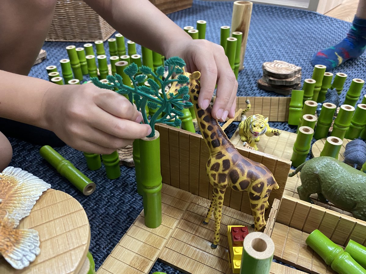 MichaelPalagi's tweet photo. Building our comprehension skills by taking action! We get new knowledge through texts and are using that to influence our play. "Giraffes eat from tall trees, we need to get more so they don't hungry." Read -> Research -> Think &amp; Plan -> PLAY! #Kindergarten #intearlyed https://t.co/fcKNt4nuuO
