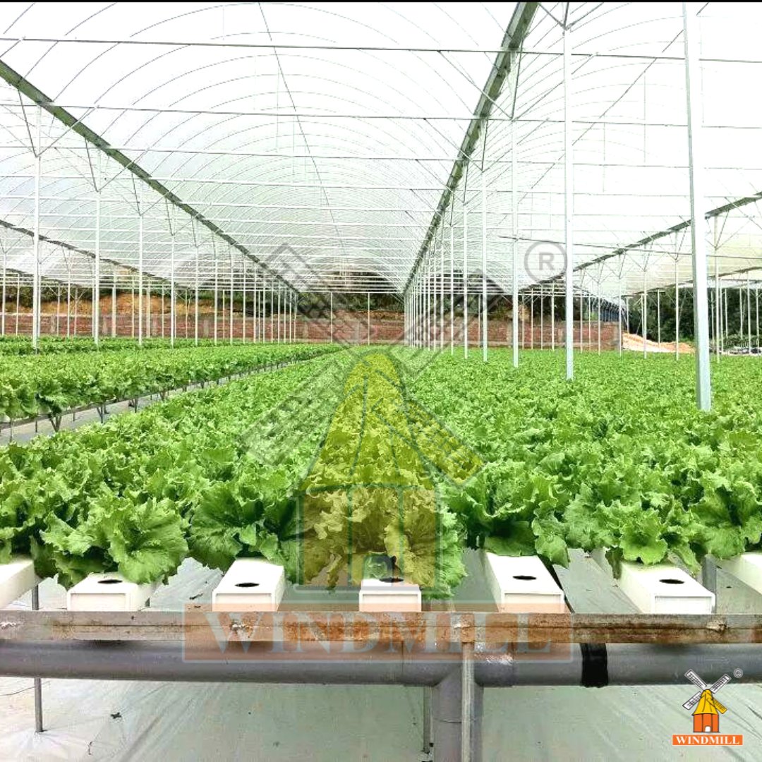 Windmill Irrigation (@windmill_kmb) / Posts / X