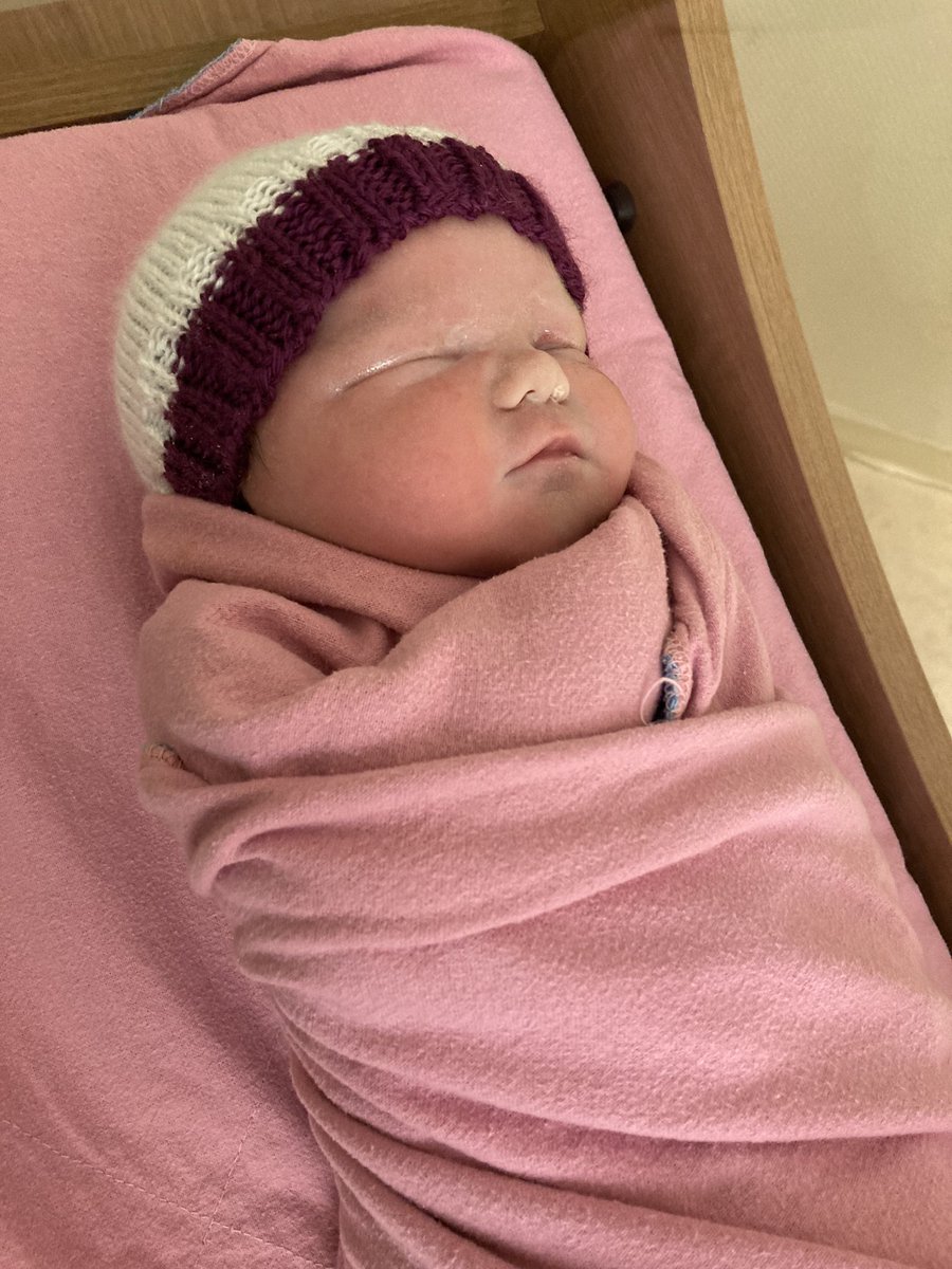 Andy Pasztor 🧼🧽 tweet media