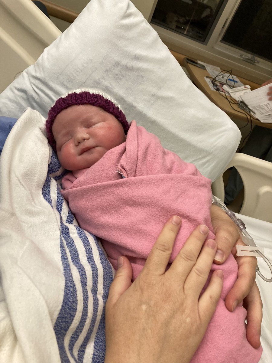 Andy Pasztor 🧼🧽 tweet media