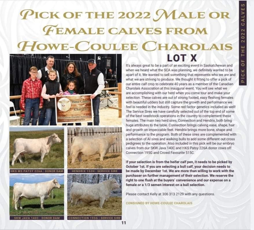 We are thrilled to be a part of the Sask Royal Sale. We are offering of pick from our entire calf crop - Male or Female!       
#charolais 

issuu.com/t-bar-c/docs/s…