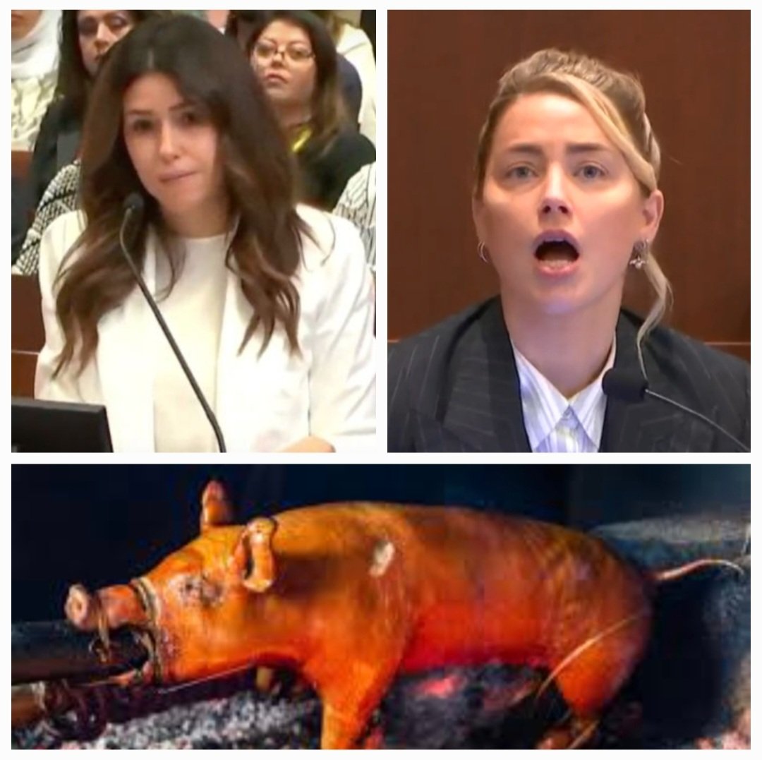 VeeRealReel1's tweet photo. For those unfamiliar with a pig roast it's a gathering & involves roasting a pig over flames.
A communal celebration ,if you will. #camillevasquez roasted #AmberHeard as #AmberTurd cooked in her own constituent #JusticeForJohnnyDepp #JohnnyDeppvAmberHeard #JohnnyDeppRedemption https://t.co/cw8EBkZ6Ep