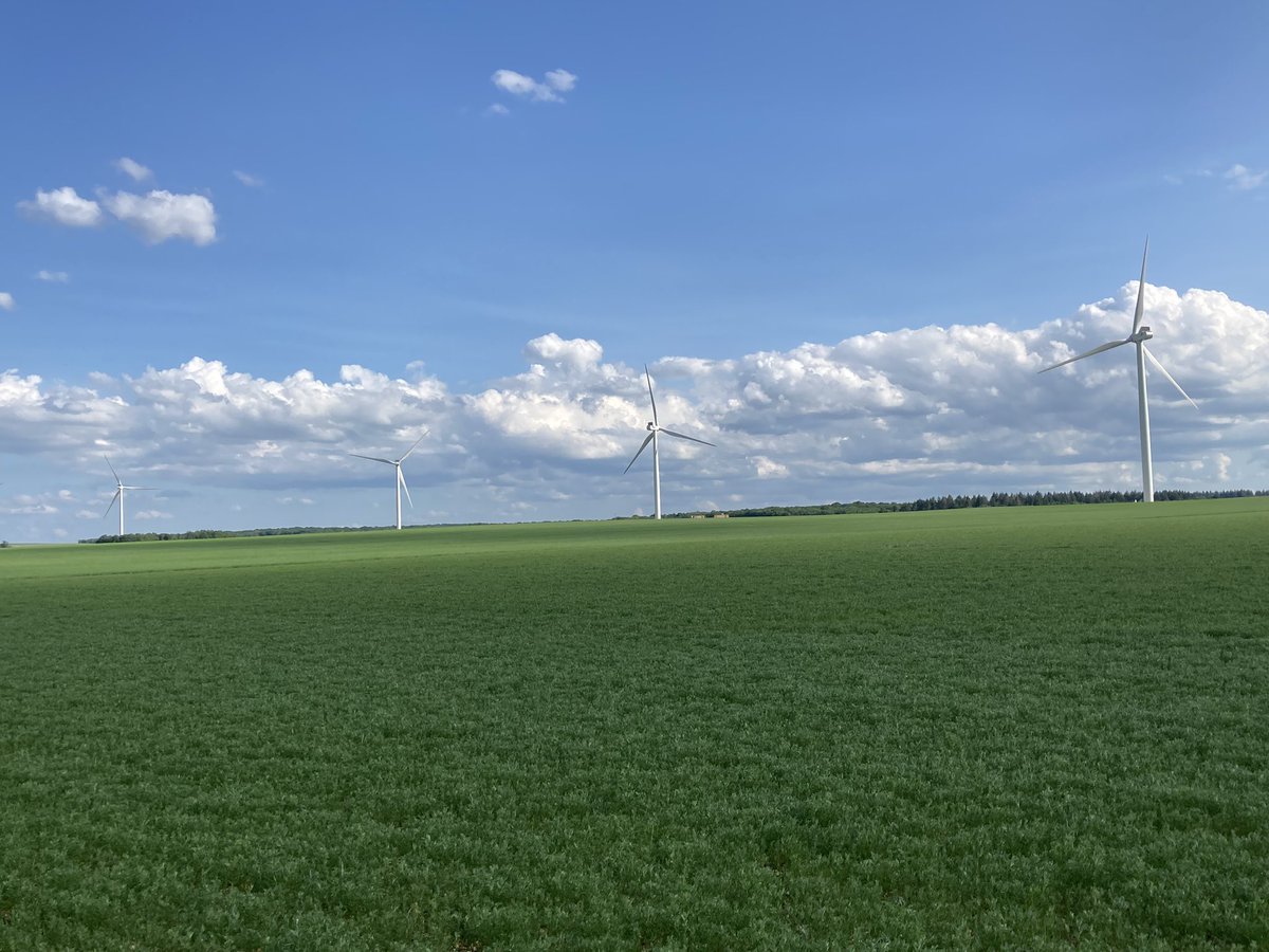 OlivierCOSTE2's tweet photo. En #Bourgogne @virginie_garin,il existe aussi une autre culture du 
plan #Protéine.
Nos premières fleurs de #Lentille verte apparaissent,dans l’#Yonne.
Elles sont très précoces cette année,
mais comme les pois,elles ne se sentiront pas seules les prochaines semaines. https://t.co/K7A2Wi9kaH