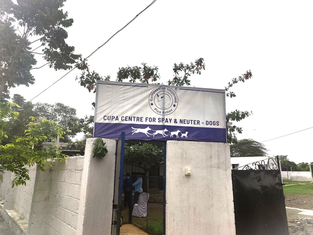 AshrayaHastha's tweet photo. We are delighted to announce that @AshrayaHastha Trust through its partnership with @CupaIndia has built an Animal Birth Control center for dogs in Sarjapur, #Bengaluru.

#ahtfightsback #spayandneuter
#animals #dogs #straydogs #AnimalWelfare #AdoptDontShop https://t.co/YSyPgEGc18