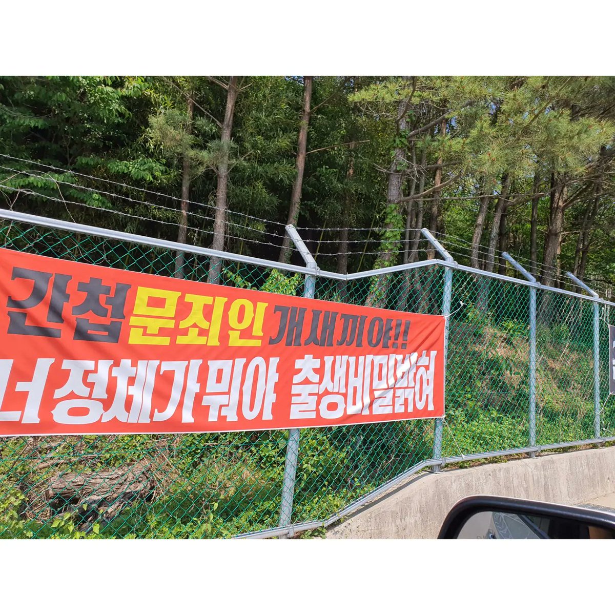 불멸의까만콩 tweet media