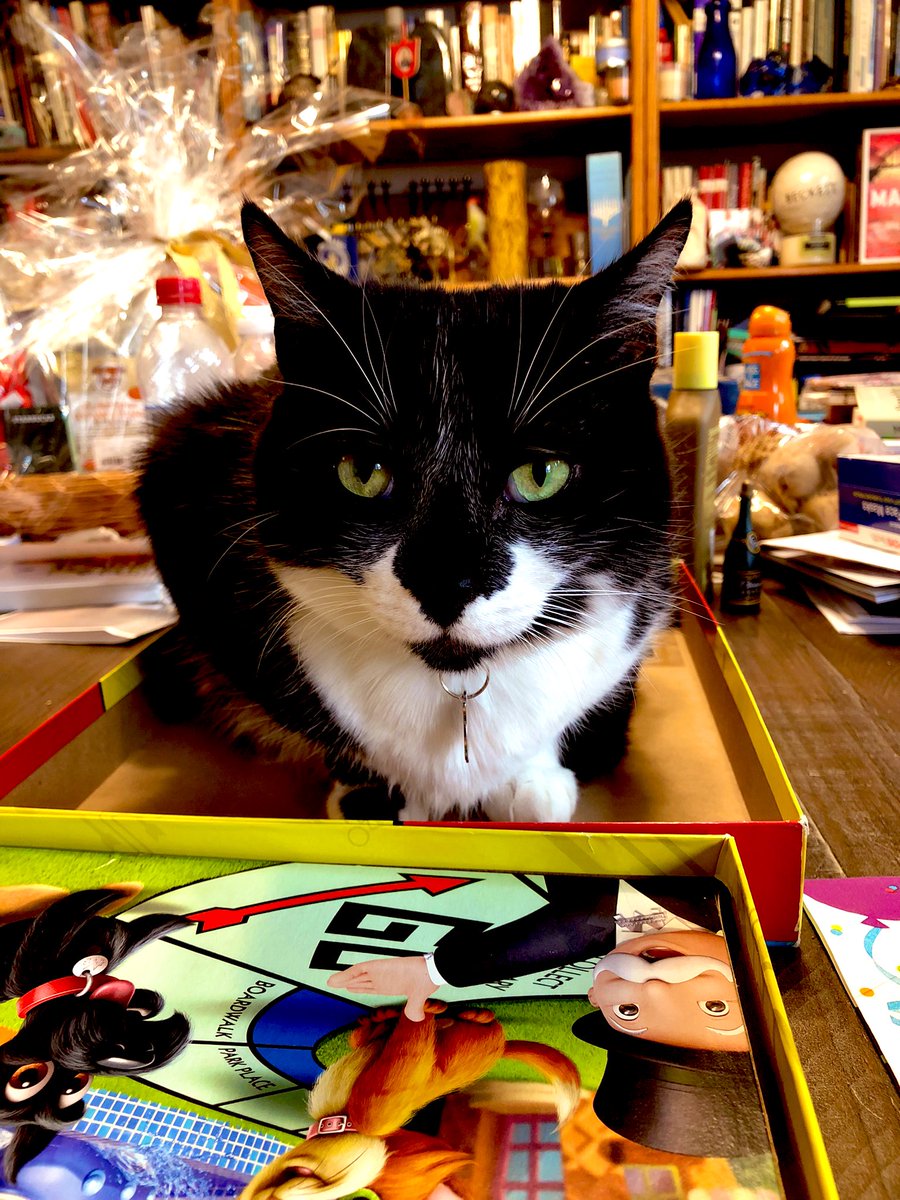 DaniLuneDurkin's tweet photo. #catsinaction #CatsOfTwitter #gingercat #tuxedocat #uptonogood https://t.co/mgwfTjJx0x