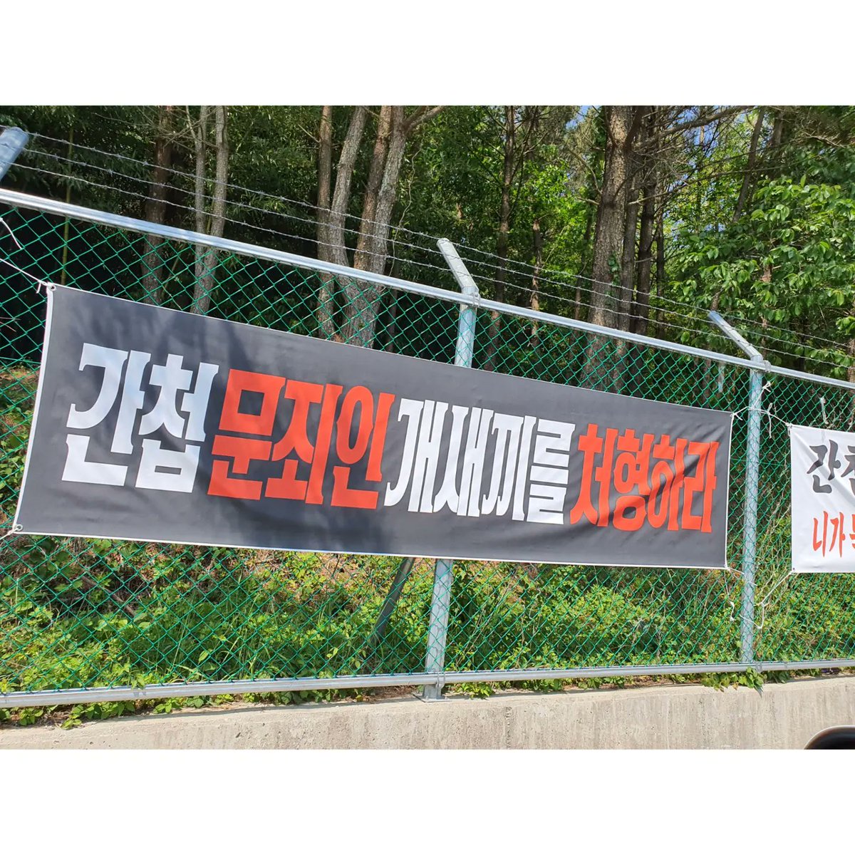 불멸의까만콩 tweet media