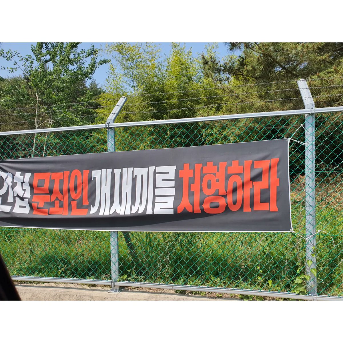 불멸의까만콩 tweet media