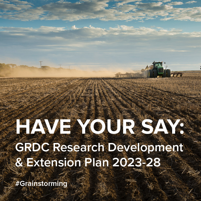 theGRDC's tweet photo. GRDC has kicked off a 10 month process to create our 5 year RD&amp;E plan. We're calling on all Australian grain stakeholders to shape the future of our industry by sharing your thoughts via a short survey. 

We’re #grainstorming now. Help shape the next 5 years of grains RD&amp;E.