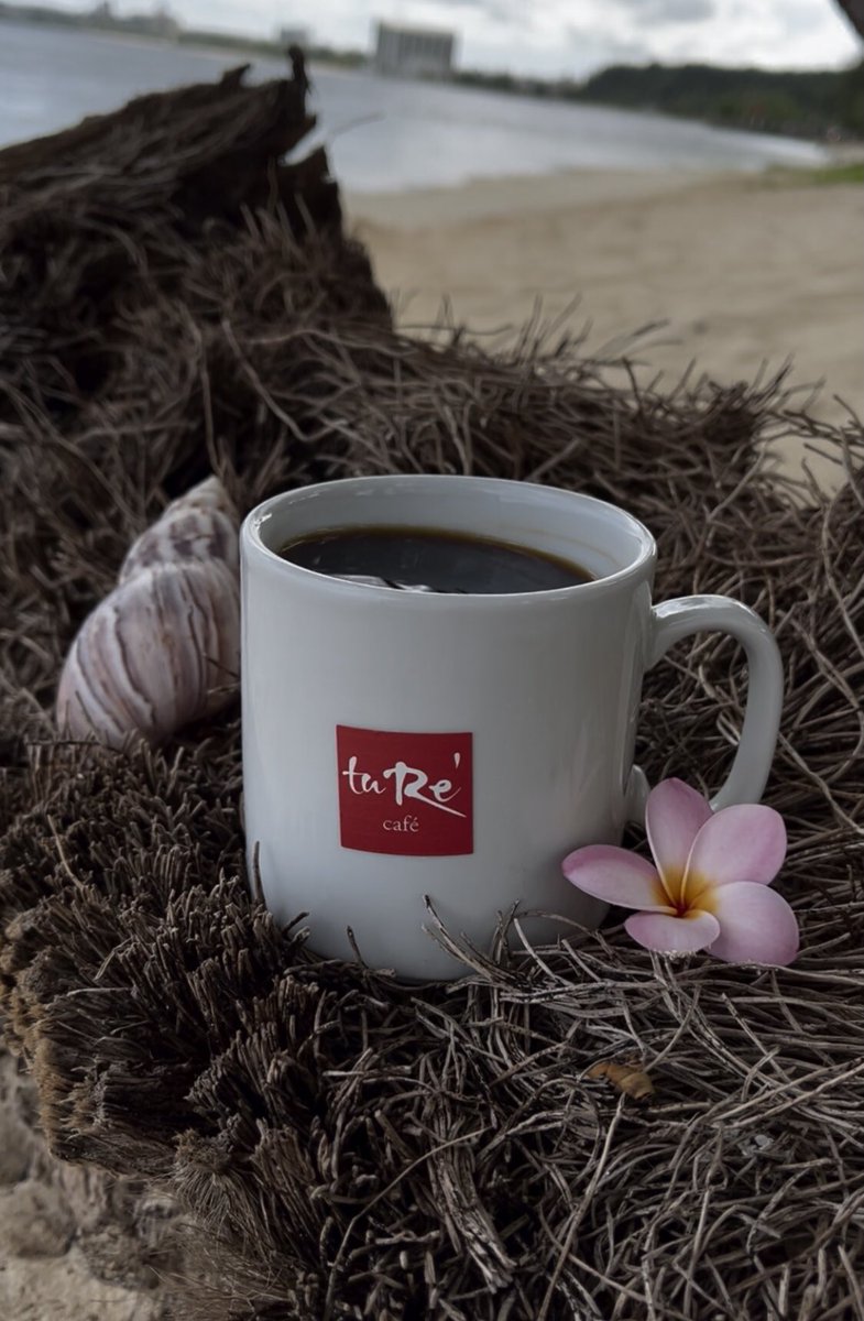 turecafe's tweet photo. One of the nicest things about life is how we must stop whatever it is we are doing to devote our attention to coffee.
#ture #turecafe #guambeaches #guamcafe #guamviews #coffeefirst https://t.co/AyFmesd72d