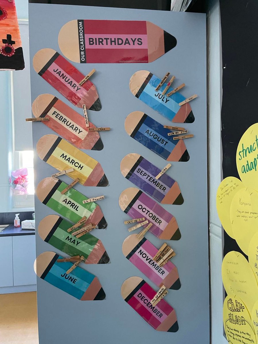 MissRTouma's tweet photo. A resource which promotes inclusion and birthday recognition. It allows students to place their personalised peg onto their specific month.
#acuedu_p https://t.co/a5WXwoYyxD