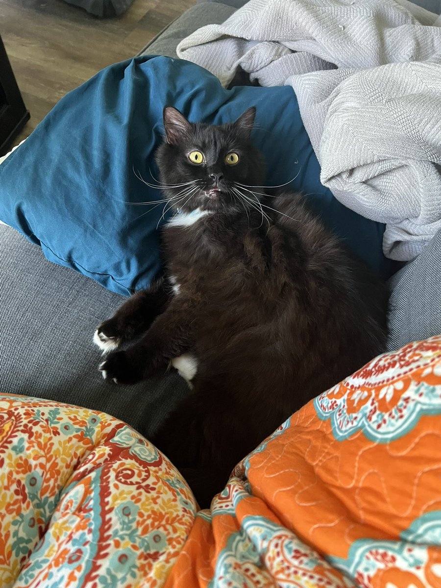 <a href="/relicofthepast/">Relic of the Past Podcast</a> <a href="/PenanceRPG/">Penance RPG 🐉 🏳️‍🌈 🐀</a> <a href="/WebWitch81000/">👾 Nearly Blind Nut is Back?! 😹</a> <a href="/StackODice/">Stack 🌻 Dice</a> <a href="/AnitaBridges2/">Anita Bridges</a> <a href="/xb0shi3x/">Brandalf the Blonde</a> <a href="/tykashow/">🐋</a> <a href="/DeGustafson/">Derek Gustafson (he/him) is Catface Games</a> @lionsoflegend <a href="/pwp_dnd/">🪄Power Word: Play🔥</a> <a href="/adora_belleD/">🇬🇧🇳🇿</a> <a href="/Stories_bySarah/">Sarah Danielle</a> <a href="/NSFWActualPlay/">Not Safe For Wizards</a> @DangerDames @TheDice_Casters <a href="/brainytherpgcat/">Brainy The RPG Cat</a> He stole my spot and I told him he had to move