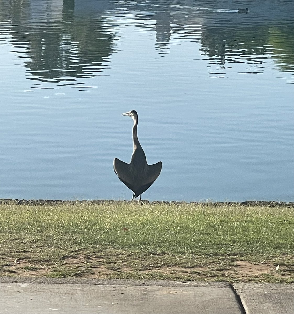 HappyShillmore tweet media