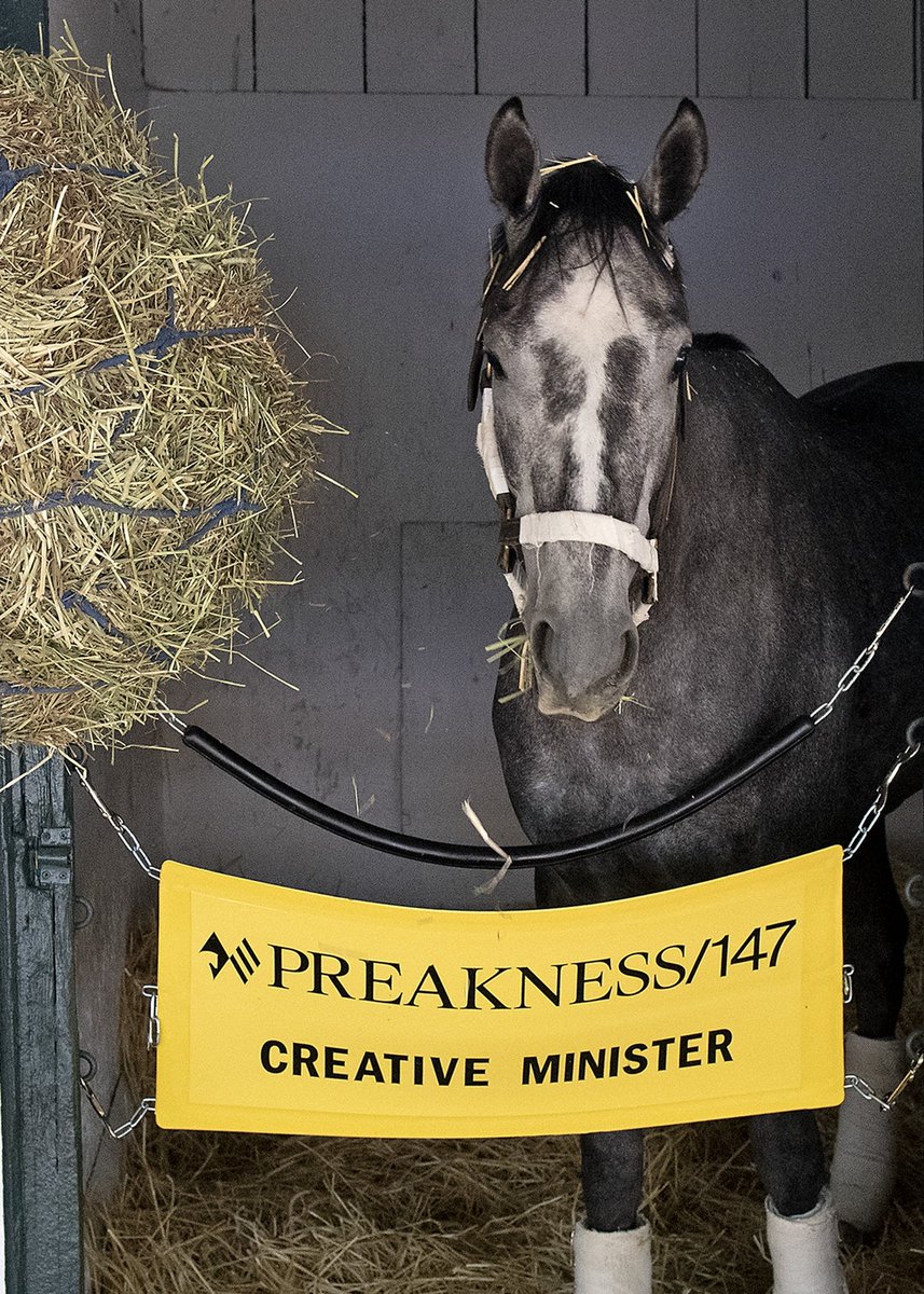 Preakness Stakes tweet media