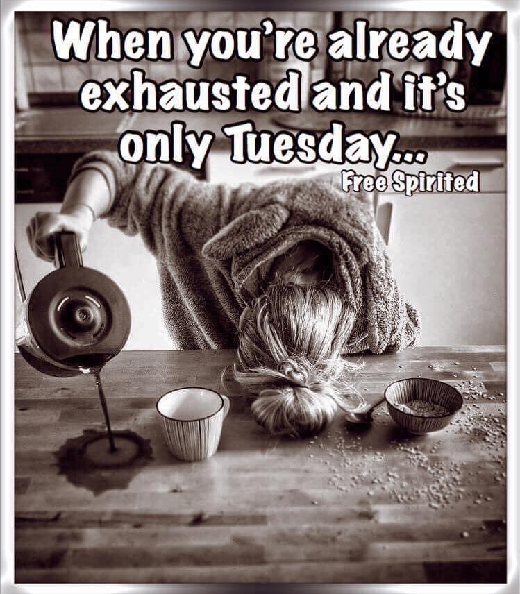 Phoebe Halliwell (@charmed_phoebe) on Twitter photo 