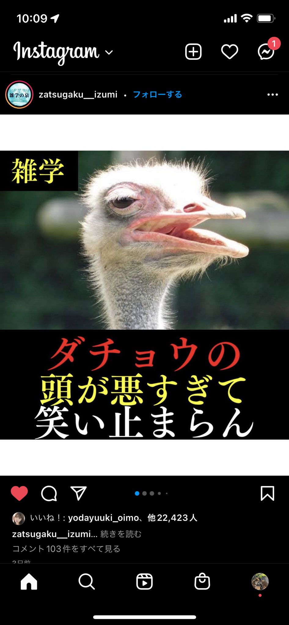こなはし 元れいくさうす Kitahanada Twitter