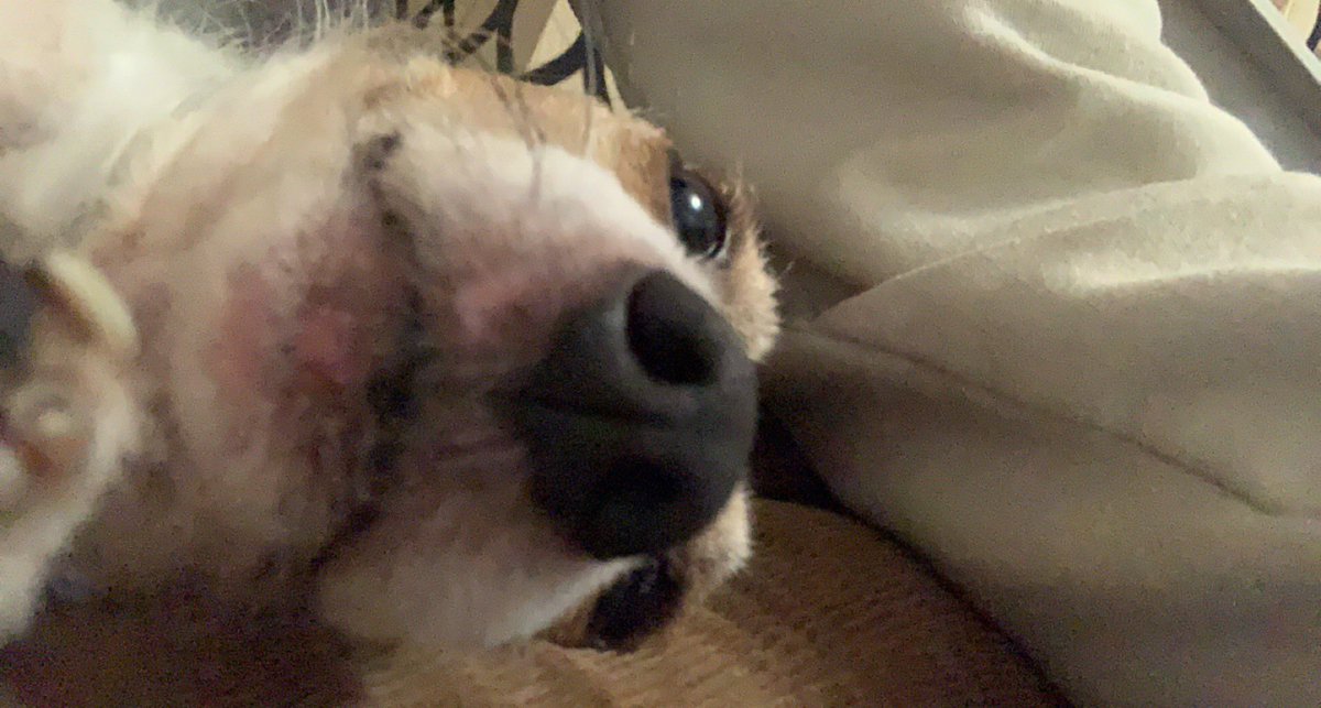 𝘾𝙖𝙨𝙩𝙞𝙣𝙜 tweet media