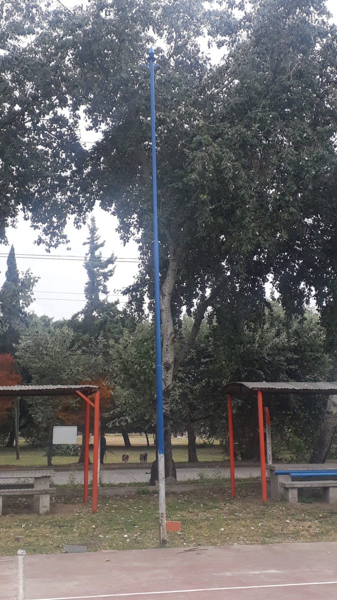 ClubFoxSalta's tweet photo. Puesta de dos postes para terminar de iluminar nuestro polideportivo 🏟️🏐🏀 https://t.co/PMO1Grofrl