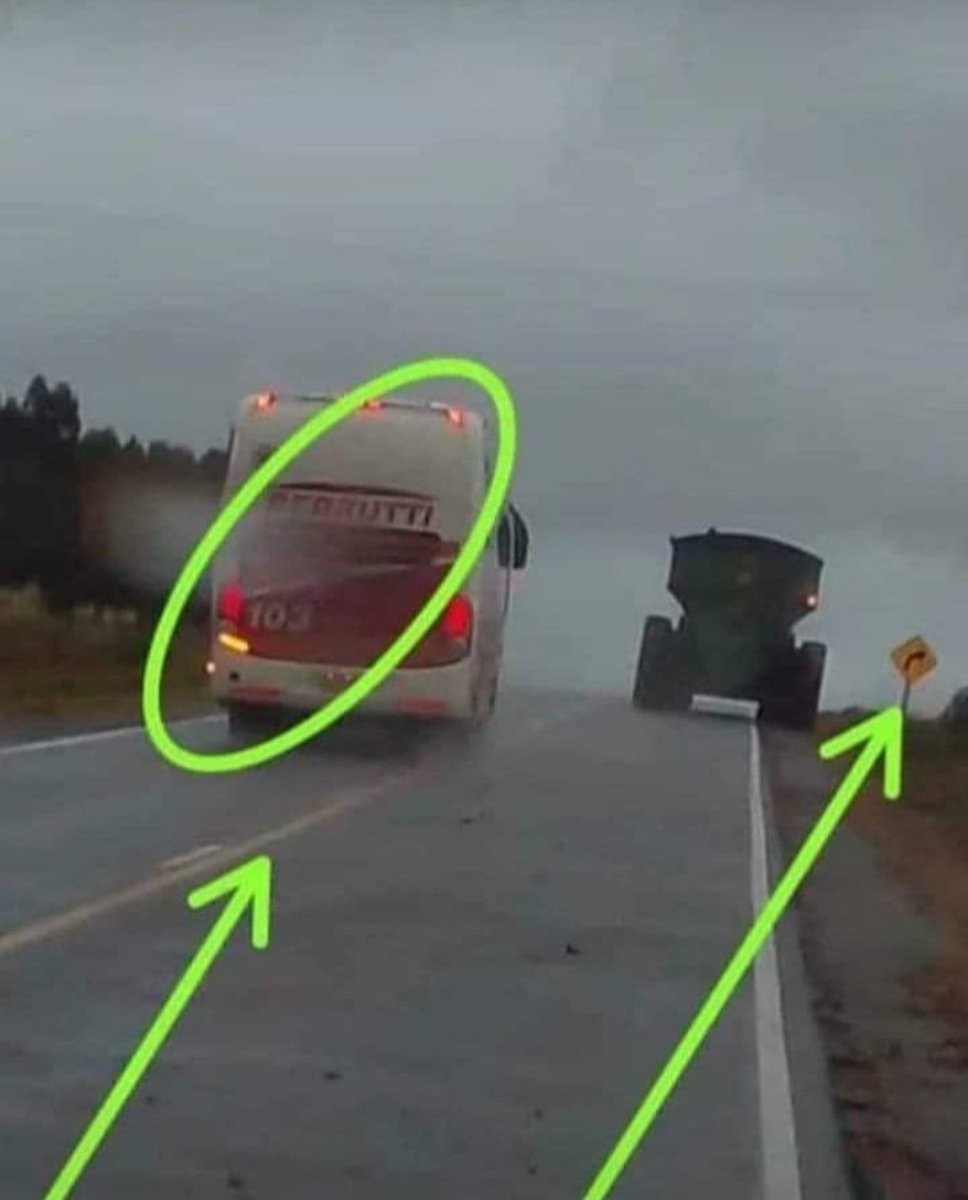 Martin🐍🐍🦂🦬🐅🐒🐕‍🦺🐎 tweet media