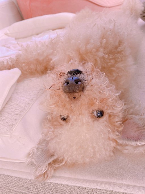 朝から可愛すぎてもうメロメロです https://t.co/YBOxnMewC6<a href="/tag/naruto"class="tags"><span>#naruto</span></a><a href="/tag/fortnite"class="tags"><span>#fortnite</span></a>