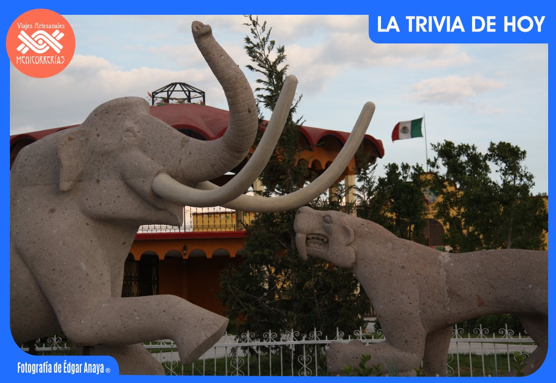 MEXICORRERIAS's tweet photo. TRIVIA

¿En qué pueblo del Estado de México se encuentra este monumento al mamut y a la fauna de hace 10 mil años?

#mexicorrerías #édgarviajar #trivia #ConoceMéxico https://t.co/cf1ybFQT3Q
