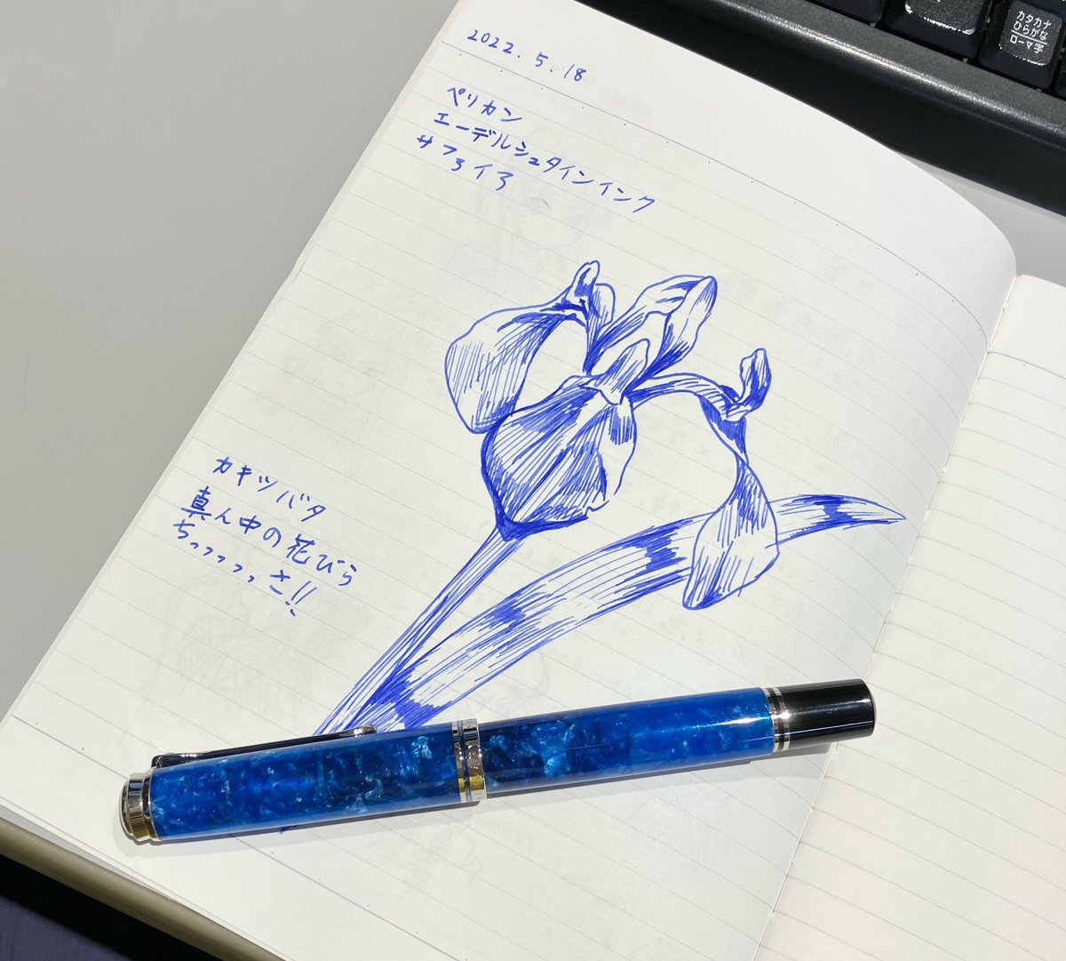 ペリカン 万年筆 限定 ブルーデューン F(エーデルシュタイン サファイア付き) ペリカン エーデルシュタイン サファイア [ブルー] (万年筆) 価格比較