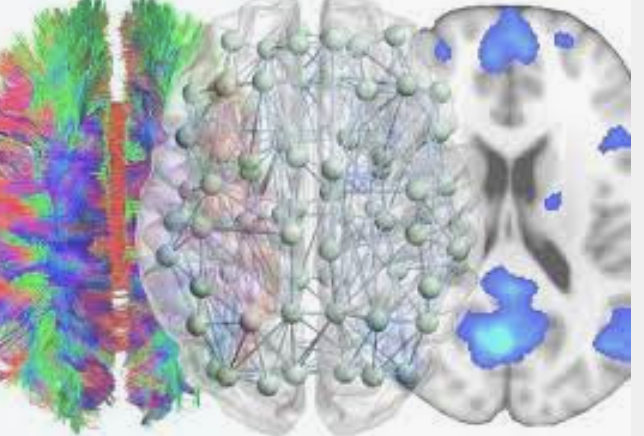 ¿Por qué YA NO es lo MISMO? 
Proceso de desensibilización de dopamina sobre sus receptores: el cerebro desea con MENOR intensidad lo que ya tiene. Cuando considera seguro lo obtenido: reduce su motivación y las atenciones.

#NeuroTuit