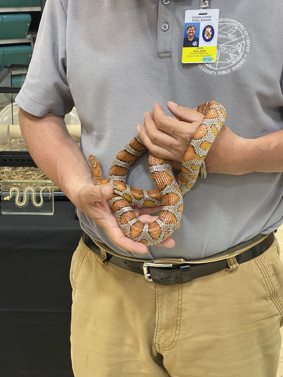 Mattawoman MS tweet media