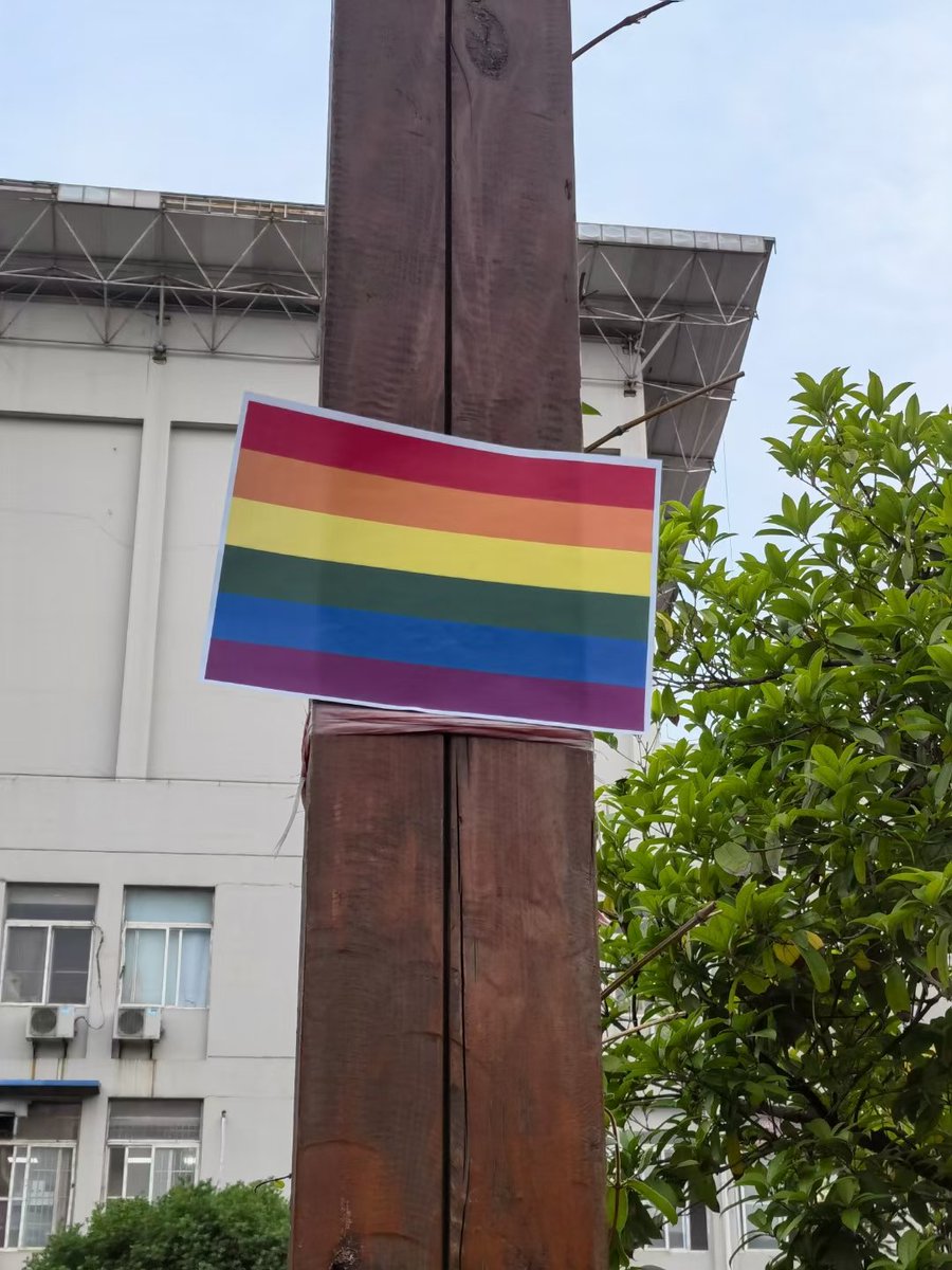 没有规则 放纵去爱