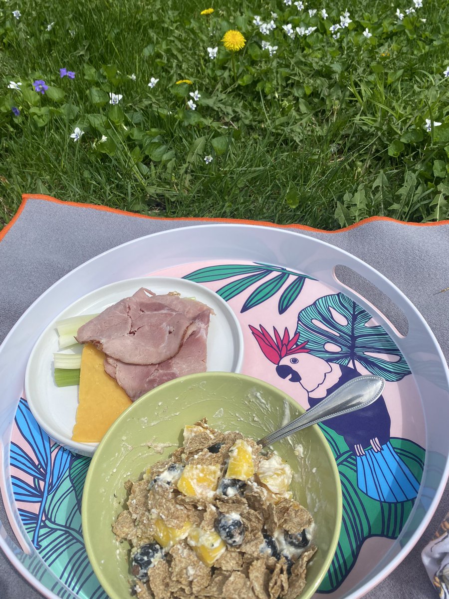 #breakfast at back yard 
Getting nice weather in Minnesota https://t.co/YvwccoWCmx