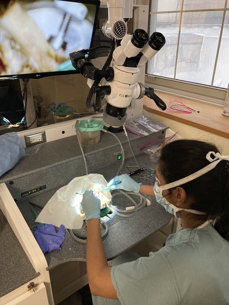 Ted Imbery tweet media