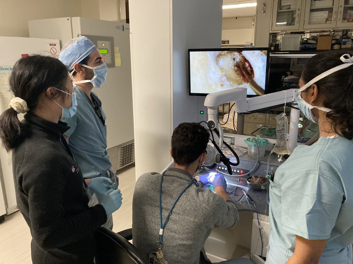 Ted Imbery tweet media