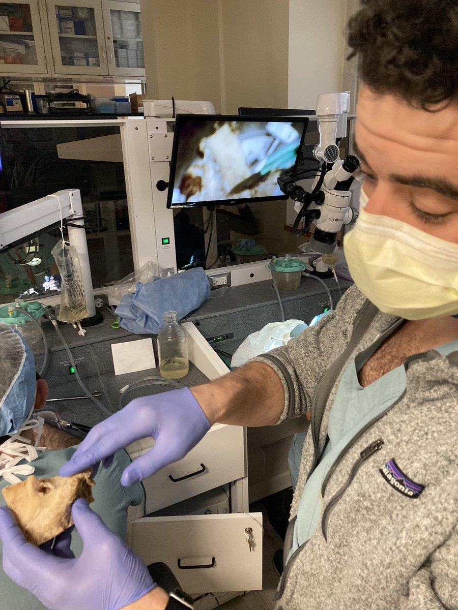 Ted Imbery tweet media