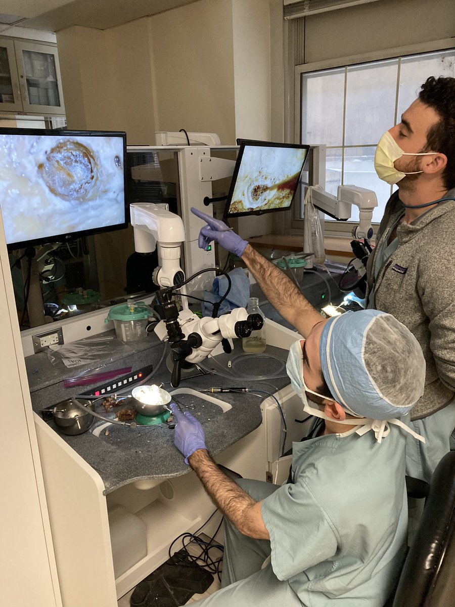 Ted Imbery tweet media